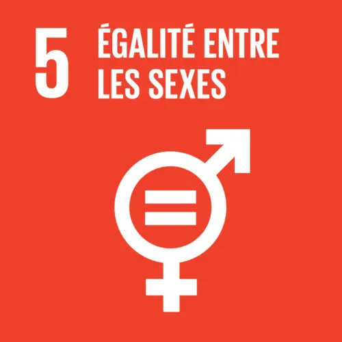 Diversité, équité et inclusion