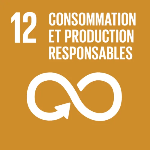 Efficacité des ressources et solutions circulaires