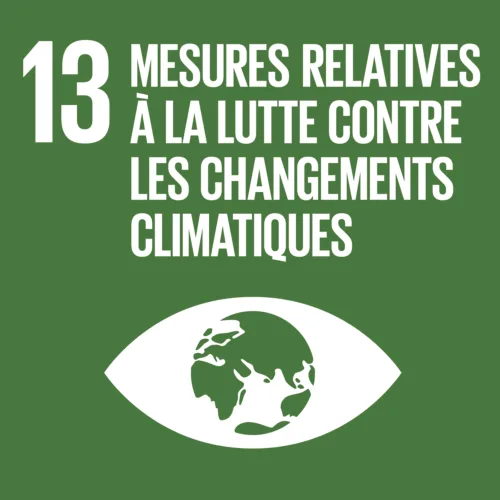 Décarbonation et résilience climatique
