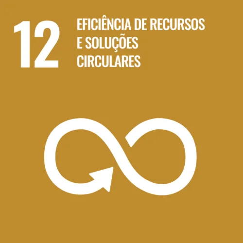 Eficiência de Recursos e Soluções Circulares