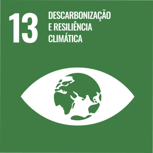 Descarbonização e Resiliência Climática
