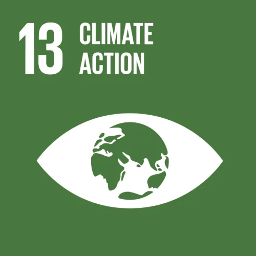 Decarbonization & Climate Resilience