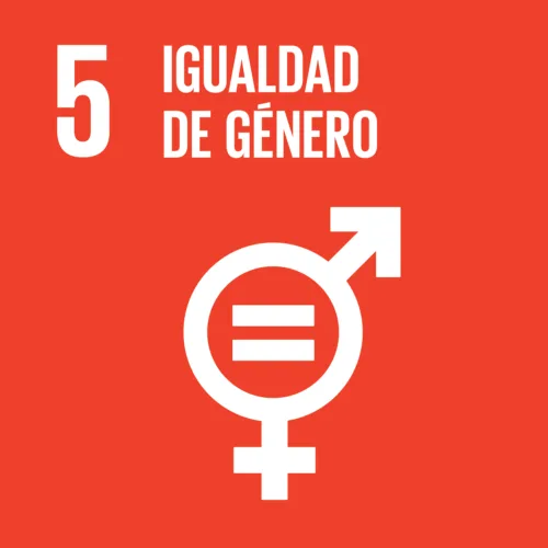 Diversidad, Equidad e Inclusión