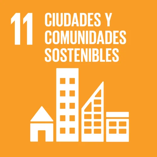 Derechos económicos, sociales y culturales de las comunidades