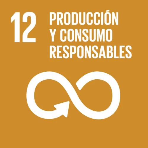 Eficiencia de recursos y soluciones circulares