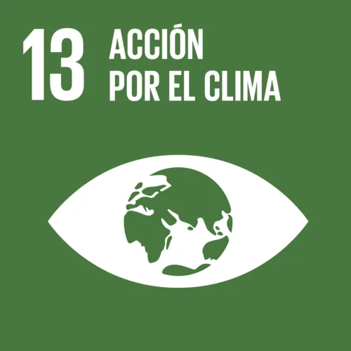 Descarbonización y resiliencia climática